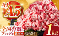 【2026年2月発送】佐賀牛切り落とし 1kg（500ｇ×2パック）【がばいフーズ】 [HCS003]