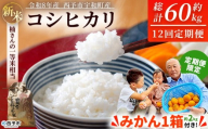 【先行予約】＼みかんもついてくる！／新米 ＜令和8年産 コシヒカリ 約5kg 12回定期便 ＋（定期便のみ）温州みかん2kg 西予市宇和町産＞ 白米 精米 楠さんの一等米相当 選べる 配送回数 お米 ご飯 愛媛県 西予市【常温】『2026年9月上旬から順次出荷予定』