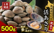 1月発送 北海道 厚岸産 訳あり 活あさり 500g アサリ 魚貝 海鮮 大粒 美味しい 栄養 旨み 砂出し 水洗い 冷蔵 冷凍保存可能 便利