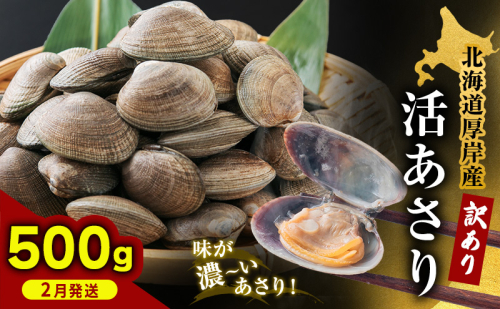 2月発送 北海道 厚岸産 訳あり 活あさり 500g  アサリ 魚貝 海鮮 大粒 美味しい 栄養 旨み 砂出し 水洗い 冷蔵 冷凍保存可能 便利 2396807 - 北海道厚岸町