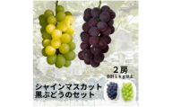 ＜先行受付＞シャインマスカット1房+黒ぶどう1房　合計1Kg以上【1688559】