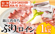 B2-8001／【予約販売 12月中旬以降順次発送】鹿児島県産 ぶり ロイン 2節 （計1kg以上）＋ カマ 1個