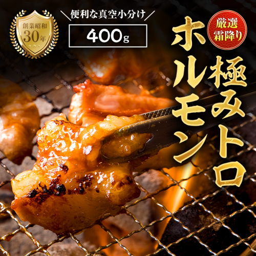 霜降り 極みトロホルモン 400g 秘伝のタレ付き | 国産 極トロホルモン 霜降り ホルモン 冷凍 真空パック 家庭用 ホルモンうどん　八島丹山 京都 舞鶴 2396899 - 京都府舞鶴市
