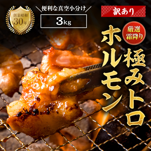 【訳あり】霜降り 極みトロホルモン3kg 秘伝のタレ付き | 国産 訳あり極トロホルモン 訳あり 霜降り ホルモン 冷凍 真空パック 家庭用 ホルモンうどん　八島丹山 京都 舞鶴 2396986 - 京都府舞鶴市