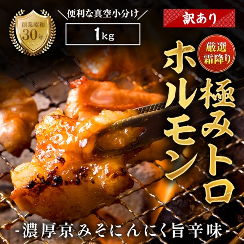 【訳あり】 霜降り 極みトロホルモン 1kg 京味噌にんにく旨辛味 秘伝のタレ付き 簡易包装 | 訳あり 訳アリ 国産 極トロホルモン 霜降り 京味噌にんにく ホルモン 冷凍 真空パック 家庭用 ホルモンうどん　八島丹山 京都 舞鶴 2396988 - 京都府舞鶴市