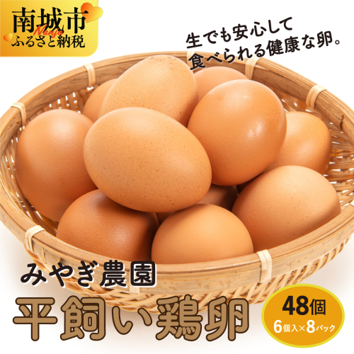 平飼い鶏卵　6個入り×8パック（48個） 2396993 - 沖縄県南城市