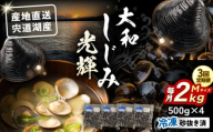 【全3回定期便】産地直送！宍道湖産 冷凍大和しじみMサイズ2kg(500g×4) 砂抜き処理済 島根県松江市/りすたむmatsue [ALDE007]