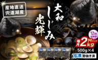 【全12回定期便】産地直送！宍道湖産 冷凍大和しじみMサイズ2kg(500g×4) 砂抜き処理済 島根県松江市/りすたむmatsue [ALDE009]