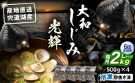【全6回定期便】産地直送！ 宍道湖産 冷凍大和しじみLサイズ2kg(500g×4) 砂抜き処理済 島根県松江市/りすたむmatsue [ALDE011]