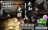 【全12回定期便】産地直送！ 宍道湖産 冷凍大和しじみLサイズ2kg(500g×4) 砂抜き処理済 島根県松江市/りすたむmatsue [ALDE012]