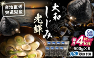 【全6回定期便】産地直送！宍道湖産 冷凍大和しじみMサイズ4kg(500g×8) 砂抜き処理済 島根県松江市/りすたむmatsue [ALDE014]
