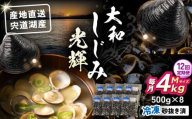 【全12回定期便】産地直送！宍道湖産 冷凍大和しじみMサイズ4kg(500g×8) 砂抜き処理済 島根県松江市/りすたむmatsue [ALDE015]