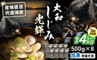 【全3回定期便】産地直送！宍道湖産 冷凍大和しじみLサイズ4kg(500g×8) 砂抜き処理済 島根県松江市/りすたむmatsue [ALDE016]