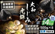 【全6回定期便】産地直送！宍道湖産 冷凍大和しじみLサイズ4kg(500g×8) 砂抜き処理済 島根県松江市/りすたむmatsue [ALDE017]