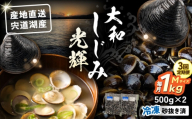 【全3回定期便】産地直送！宍道湖産 冷凍大和しじみMサイズ1kg(500g×2) 砂抜き処理済 島根県松江市/りすたむmatsue [ALDE019]