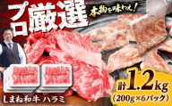【焼肉の定番！】しまね和牛ハラミ1.2kg 和牛 牛肉 国産 国産牛 赤身 焼肉 ステーキ ハラミ 人気 大容量 黒毛和牛 ギフト 島根県雲南市/株式会社O.R.C [AIEF010]