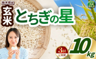 【定期便3回】いちご農家さん応援米！ 令和7年度産 玄米 約10kg とちぎの星 |  真岡市産 米  お米 こめ 玄米 ご飯 ごはん とちぎの星 大粒 限定 ふるさと納税 先行 予約 栃木県 真岡市 送料無料