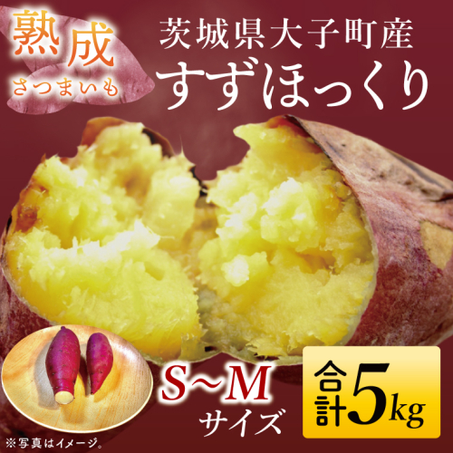 【大子町産】熟成さつまいも すずほっくり 5kg｜茨城県 大子町 サツマイモ 芋 甘い ホクホク 野菜 数量限定 希少品種 秋 旬 産地直送（CH005） 2397474 - 茨城県大子町