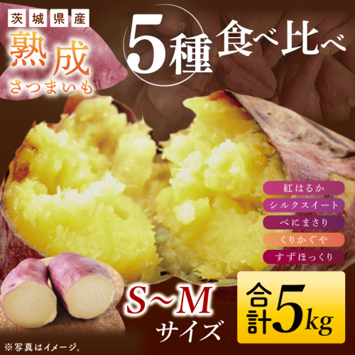 【大子町産】熟成さつまいも 5種食べ比べセット 合計5kg 詰め合わせ（紅はるか・シルクスイート・くりかがや・すずほっくり・べにまさり） ｜ 茨城県 大子町 サツマイモ 焼き芋 ホクホク 野菜 数量限定 （CH007） 2397570 - 茨城県大子町