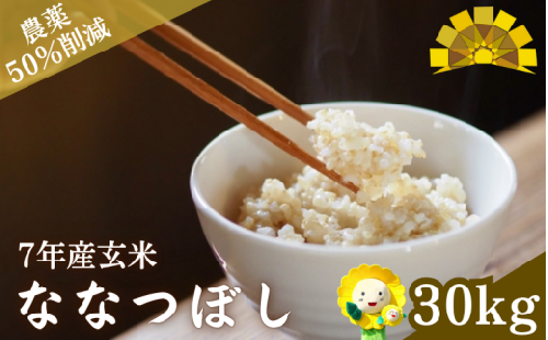 玄米 ななつぼし / ごはん こめ 米 お米 北海道 北海道米 【kja400-nana-g30-R7】