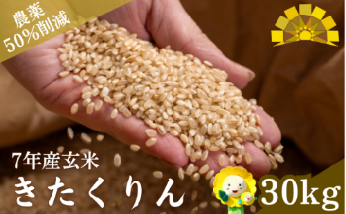 玄米 きたくりん 新米 30kg / ごはん こめ 米 お米 北海道 北海道米 【kja400-kita-g30-R7】