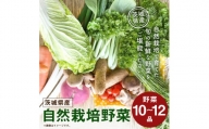 【共通返礼品】自然栽培野菜10～12品目(KBE-1)