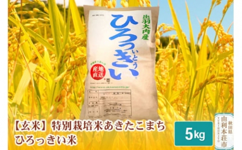 【玄米】 秋田県産 あきたこまち 5kg 令和4年産 特別栽培米 ひろっきい米