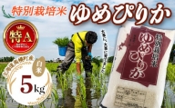 特別栽培米 ゆめぴりか（白米）5kg 令和4年度米 2022年10月発送 NP1-048
