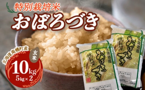 特別栽培米 おぼろづき（玄米）5kg×2袋 令和4年度米 2022年10月発送 NP1-051 239865 - 北海道南幌町