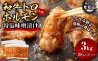 ＜訳アリ＞和牛トロホルモン　特製味噌漬け　3kg(300g×10）【2026年4月発送】