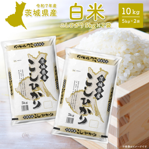 【新米/白米】茨城県産 コシヒカリ 10kg (5kg×2袋) ＜令和7年12月内発送＞ 新米 米 精米 小分け 2025年産 令和7年産 K2654 2401510 - 茨城県境町