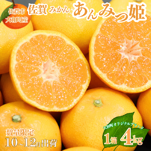 【10～12月発送】数量限定 佐賀みかん あんみつ姫 佐賀市大和町産 温州みかん：B150-075 2401514 - 佐賀県佐賀市