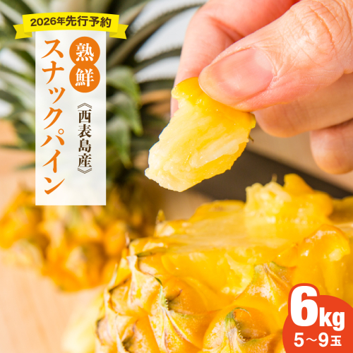 2026年 先行予約【手でちぎって食べる楽しさ】沖縄　西表島　熟鮮スナックパイン6kg（5～9玉） 2401515 - 沖縄県竹富町
