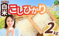 いちご農家さん応援米! 訳あり 令和7年度産 白米 約2kg こしひかり | 真岡市産 米 お米 こめ 白米 ご飯 ごはん もちもち コシヒカリ 限定 ふるさと納税 先行 予約 栃木県 真岡市 送料無料