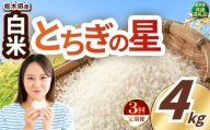 【定期便3回】いちご農家さん応援米！ 訳あり 令和7年度産 白米 約4kg とちぎの星 |  真岡市産 米  お米 こめ 白米 ご飯 ごはん 大粒 とちぎのほし 限定 ふるさと納税 先行 予約 栃木県 真岡市 送料無料