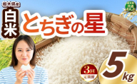 [定期便3回]いちご農家さん応援米! 令和7年度産 白米 約5kg とちぎの星 | 真岡市産 米 お米 こめ 白米 ご飯 ごはん 大粒 とちぎのほし 限定 ふるさと納税 先行 予約 栃木県 真岡市 送料無料
