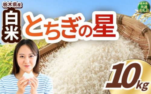 いちご農家さん応援米！ 令和7年度産 白米 約10kg とちぎの星 | 真岡市産 米 お米 こめ 白米 ご飯 ごはん 大粒 とちぎのほし 限定 ふるさと納税  栃木県 真岡市 送料無料 2401549 - 栃木県真岡市