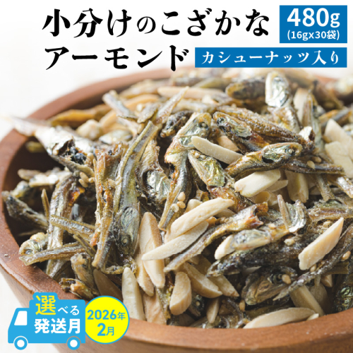 【2026年2月発送】 手軽に健康習慣 小分けのこざかなアーモンド カシューナッツ入り 480g(16gｘ30袋) おうち時間 おやつ 大満足 美容 健康 栄養豊富 人気 高リピート ナッツ H059-121_Feb 2401707 - 愛知県碧南市