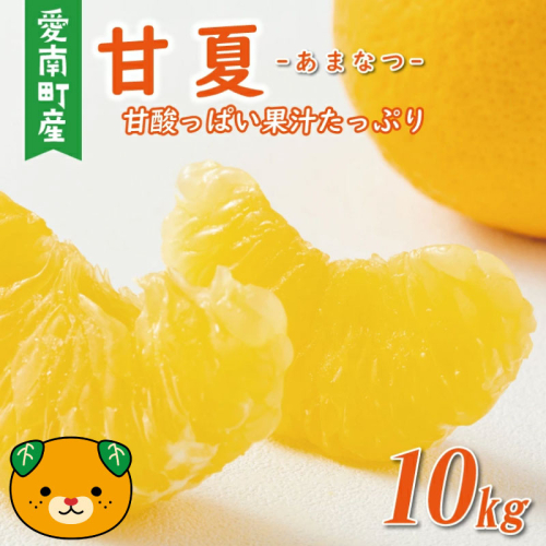 先行予約 甘夏 10kg 10000円 樹齢25年 以上 みかん mikan 蜜柑 あまなつ 夏みかん グレープフルーツ だいだい 家庭用 事前 予約 受付 産地直送 国産 農家直送 糖度 期間限定 数量限定 特産品 ゼリー マーマレード ピール ジュース 等に デザート 人気 限定 おいしい フルーツ 果物 柑橘 美味しい サイズ ミックス 減農薬 くらもとファーム 愛南町 愛媛県 2401709 - 愛媛県愛南町