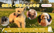 【返礼品なし】 障害犬 保護犬の支援 ハッピープラン 保護 支援 里親 譲渡 治療 餌 犬 動物愛護 藤枝市 静岡県