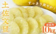 [2026年2月中旬より順次発送][訳あり] 文旦 家庭用 10kg 高知 L 〜 2L サイズ 期間限定 早期予約 受付中 限定 旬 みかん 土佐文旦 柑橘 果物 フルーツ
