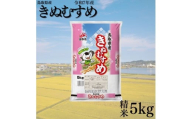 386K.鳥取県産きぬむすめ◇精米5kg◇令和7年産