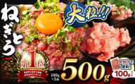 [ 1月発送 ]ねぎとろ 小分け 100g パック 500g(100g×5袋)お試しサイズ 定期便 | 清幸丸水産 最短7日以内発送 おためし サイズ 大人気 手巻き寿司 海鮮丼 マグロのユッケ まぐろ 海鮮 小分け 100g パック 千葉県 君津市