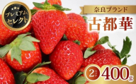 いちご 古都華 プレミアム セレクト 2026年 発送(400g×2パック) 贈与用 予約受付中 数量限定 早期終了 予定あり いちご イチゴ 先行予約 いちご 苺 奈良ブランド苺 イチゴ ブランド 古都華 大粒 苺 旬 産地 直送 フレッシュ 新鮮 フルーツ 果物 くだもの 萩原いちご農園 奈良県 奈良市