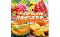 【4回定期便】自然の恵み　季節のフルーツ定期便2026(3) (いちご、小玉スイカ、彩りメロン、柿) SE0506