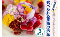 農家直送！加藤さんちのエディブルフラワー 3パック (1パックあたり季節のお花15輪から30輪)｜食用 花 お花 野菜 トッピング 付け合わせ [0763]