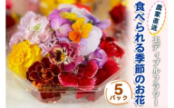 農家直送！加藤さんちのエディブルフラワー 5パック (1パックあたり季節のお花15輪から30輪)｜食用 花 お花 野菜 トッピング 付け合わせ [0764]