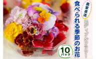 農家直送！加藤さんちのエディブルフラワー 10パック (1パックあたり季節のお花15輪から30輪)｜食用 花 お花 野菜 トッピング 付け合わせ [0765]