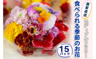 農家直送！加藤さんちのエディブルフラワー 15パック (1パックあたり季節のお花15輪から30輪)｜食用 花 お花 野菜 トッピング 付け合わせ [0766]