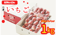 村田さん家の冷凍いちご（1kg） 大粒 甘い 紅白 お祝い 贈答 にも オススメ 苺 村田さん家のいちご 村田農園 茨城県 鉾田市